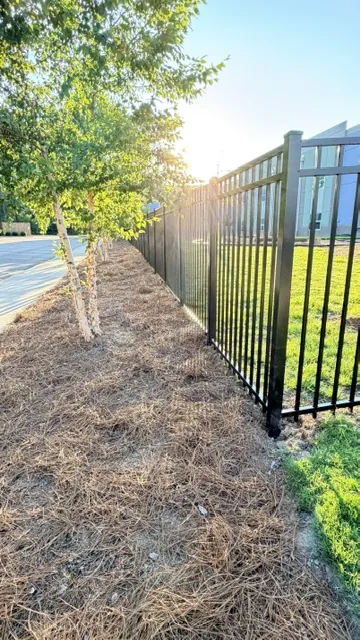 Black aluminum commercial fence bordering a pine-straw bed at a commercial property, installed by Superior Fence & Rail of Raleigh